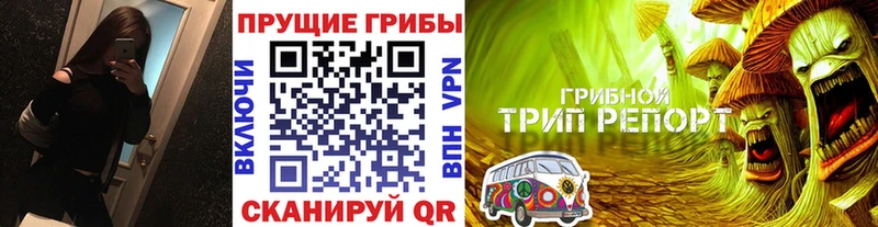 сколько стоит  Кукмор  Псилоцибиновые грибы MAGIC MUSHROOMS 